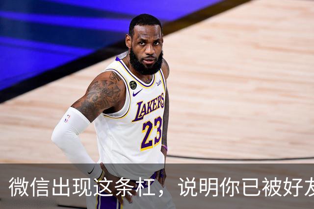 微信出现这条杠，说明你已被好友删除。